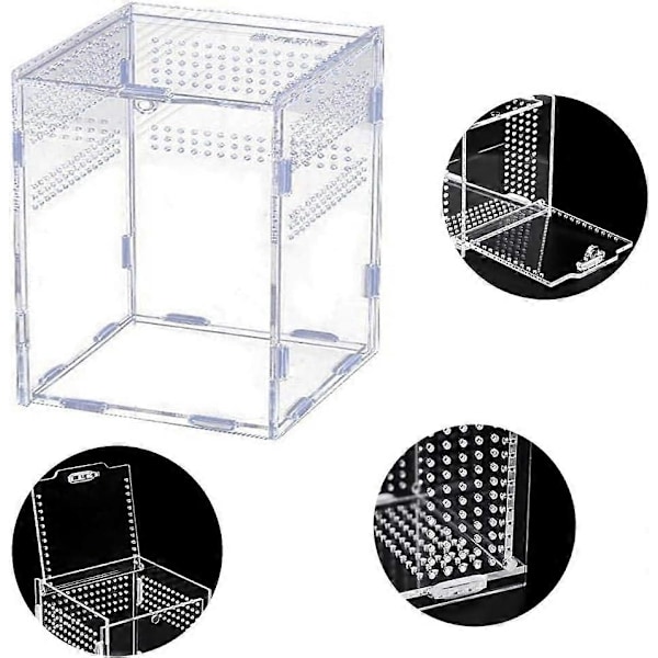 Hoppspindel Habitat, Akryl Terrarium med Magnetisk Stängning, Ideal Transparent Hoppspindelbur för Leddjur, Spindlar och Insekter - Perfekt