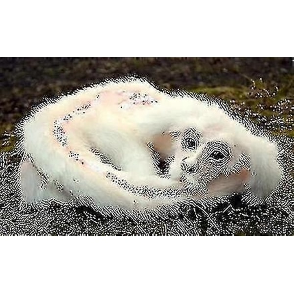 Onnenlohikäärme Falkor -nukke. Ikuinen tarina -valkoinen lohikäärme -nukke. Söpö lohikäärme -pehmoeläin -täydellinen