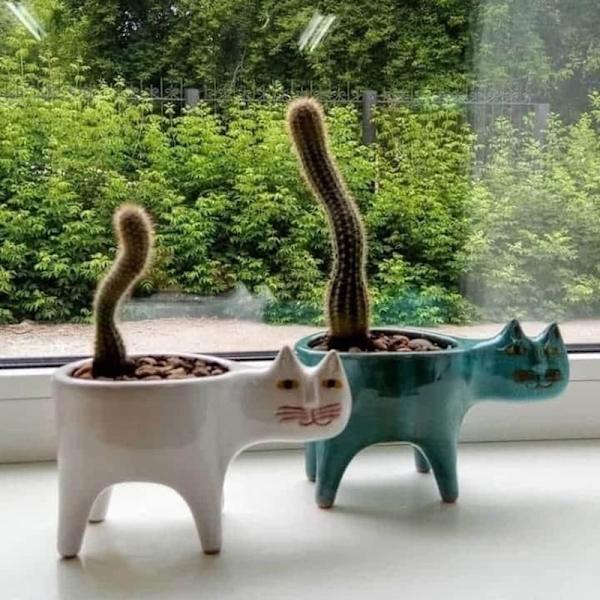 Sukkulenter Potter Interessant Katteformet Plantekasse Keramiske Havepotter Ornament Til Kontor Hjem Skrivebordsindretning Red 15CM*8CM