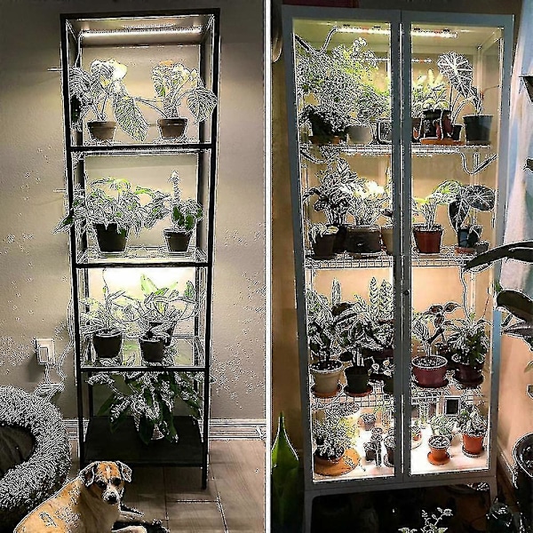 LED-växtlampa för inomhusbruk, fullspektrum solljus 42-288 LED-växtlampa med automatisk timer för hyllor, hydroponiska växter och suckulenter - Perfekt 1-Strip 30 cm