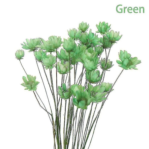 30 stk. Daisy Små Stjerne Tørrede Blomster Buket Bevar Blomst til Bryllup Dekoration-Perfet Green