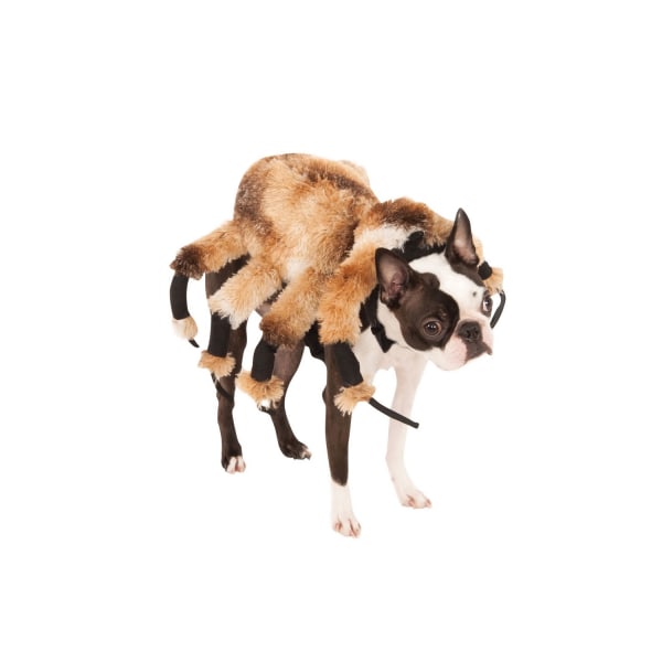 Bristol Novelty Spider Dog Costume Brun/Svart/Vit - Perfet Brown/Black/White M