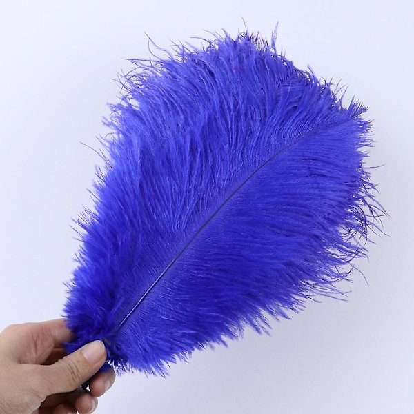 10 stk Naturlige Sorte Strudsefjer til Håndværk Bryllup Hjem Dekoration 15-20cm/25-30cm/30-35cm Fest Strudsefjer Midtpunkt-Perfekt royal blue