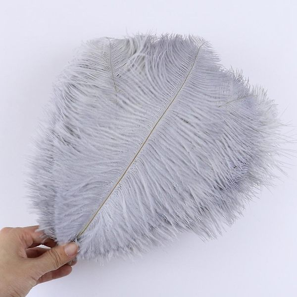 10 stk Naturlige Sorte Strudsefjer til Håndværk Bryllup Hjem Dekoration 15-20cm/25-30cm/30-35cm Fest Strudsefjer Midtpunkt-Perfekt Light Grey