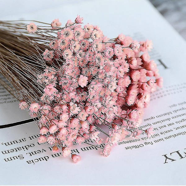 30 kpl Daisy Small Star Kuivattuja Kukkia Kimppu Säilytetty Kukkia Hääkoristeluun - Täydellinen Pink