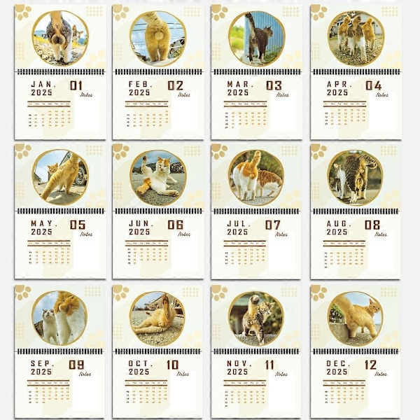 Kattbollskalender 2025, rolig katt-röv-kalender 12 månader kattbollskalender, ny rolig kattbollskalender 2025 - Perfekt 1PCS