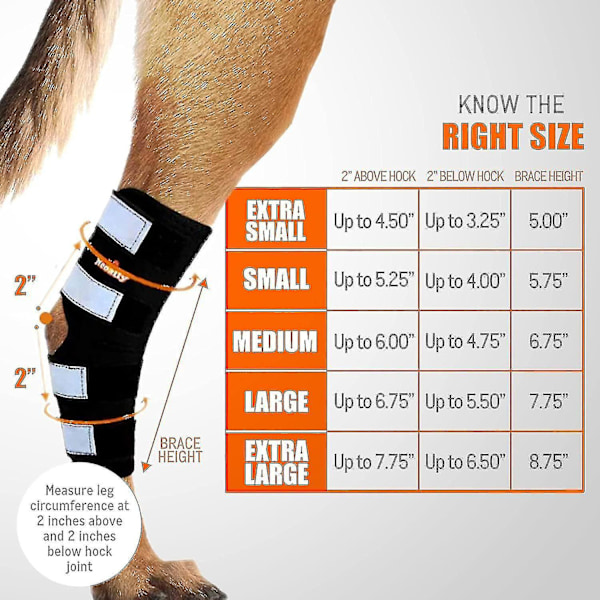 1 Par Hundefotstøtte for Bakbein - Canine Hock Joint Support med Sikkerhetsrefleksstropper for Leddskader og Forstuing - Perfekt XS