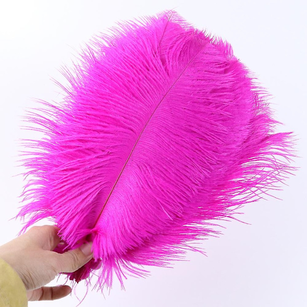 10 stk Naturlige Sorte Strudsefjer til Håndværk Bryllup Hjem Dekoration 15-20cm/25-30cm/30-35cm Fest Strudsefjer Midtpunkt-Perfekt Rose