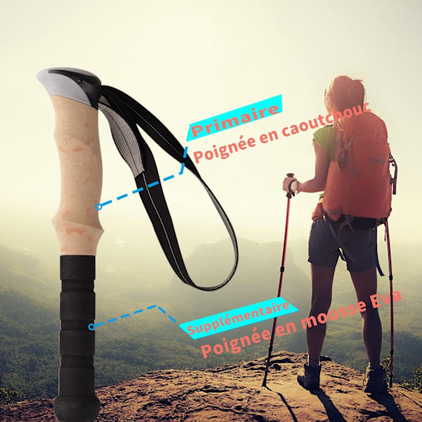 Trekkingstave 2 stk Teleskopiske vandrestave Aluminium Nordic Pol- Perfet