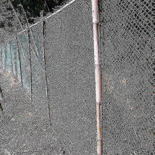 5X10M sterkt fuglenett hagegjerde og avlinger 5x10m-Perfet