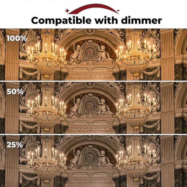 42W E14 C35 Dimbar Halogenlampa AC 220-240V Varmvit 2700K E14 Transparent Halogenljus (10st)-Perfet