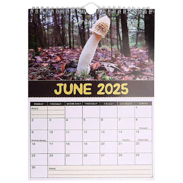 Verdens beste soppkalender 2025 - Bring glede og hold deg organisert - Perfekt for gaver til jul
