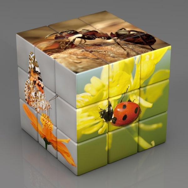 Kid Magic Cube Studentutbildning Matematik Kemi Fysik Kunskap 3x3x3 pussel cube toy för barn som lär sig Magico Cubo-Perfet Army Green