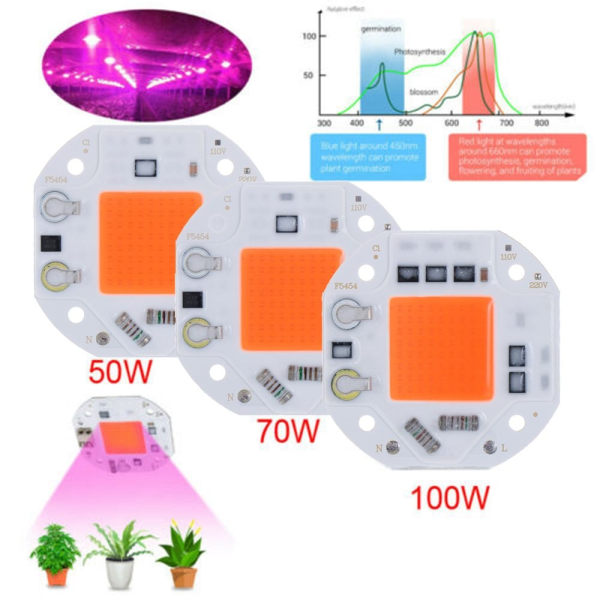 LED COB Chip Grow Light - Perfet 50W