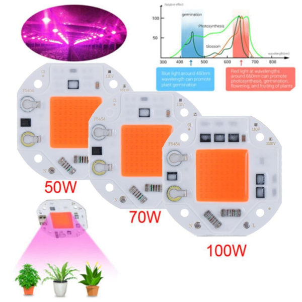 LED COB Chip Grow Light - Perfet 50W