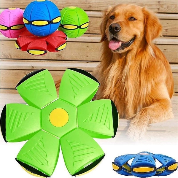 Nyt kæledyrslegetøj Flyvende tallerkenbold Hundelegetøj Petelegetøj - Perfet Red