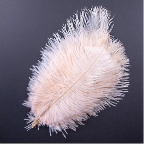 10 stk Naturlige Sorte Strudsefjer til Håndværk Bryllup Hjem Dekoration 15-20cm/25-30cm/30-35cm Fest Strudsefjer Midtpunkt-Perfekt light champagne03