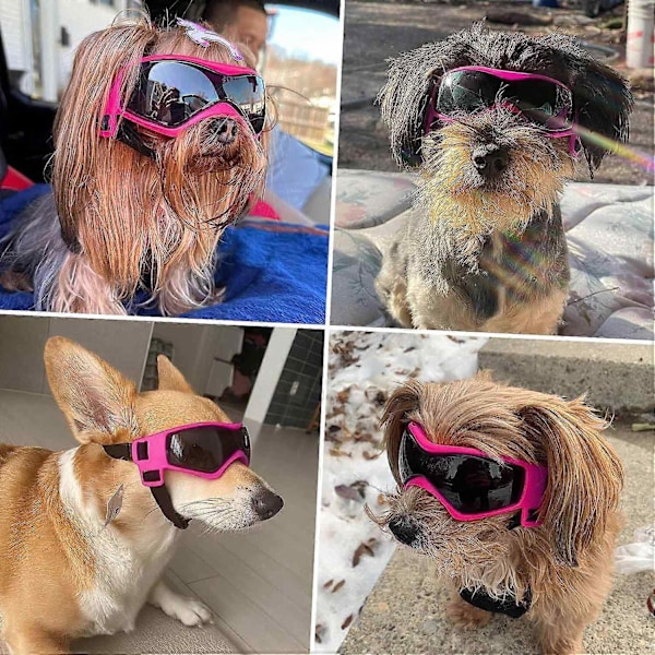 Hundglasögon, Hundskyddsglasögon UV-skydd Hundsolglasögon Vindtäta Anti-imma Dammtäta Valpglasögon för Utomhusåkning Körning-Perfekt Pink M