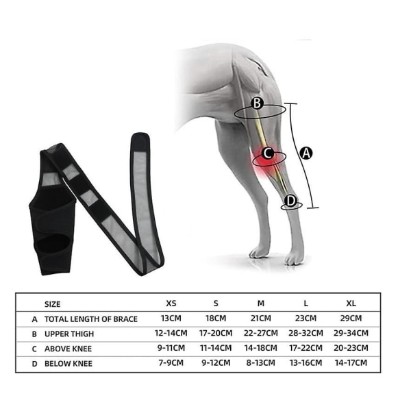 Knæstøtte til hund, benstøtte til hund Hoftestøtte til korsbåndsskader, Ccl, knæskalleluksation eller slidgigt - Perfet L