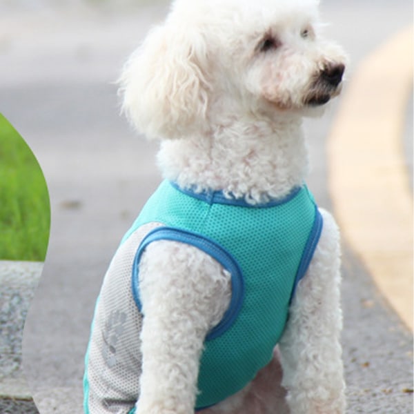 Perfekta hundklänningar för små hundar Söt flicka kvinnlig hundklänning mamma - Perfet XL