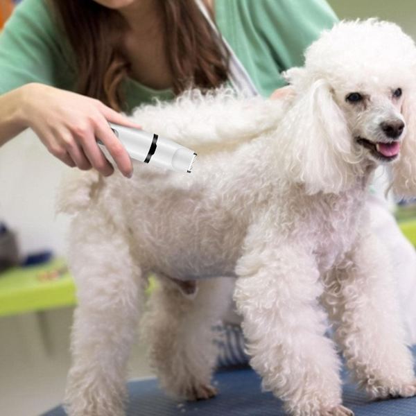 Negletrimmer til hunde ledningsfri trimmer - Perfet