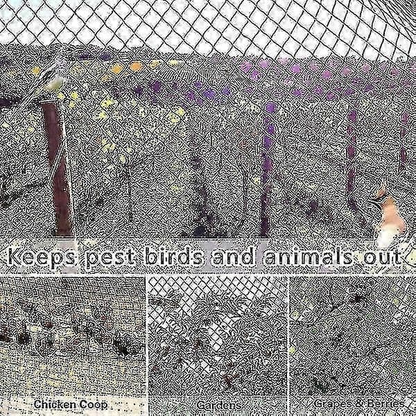 5X10M sterkt fuglenett hagegjerde og avlinger 5x10m-Perfet
