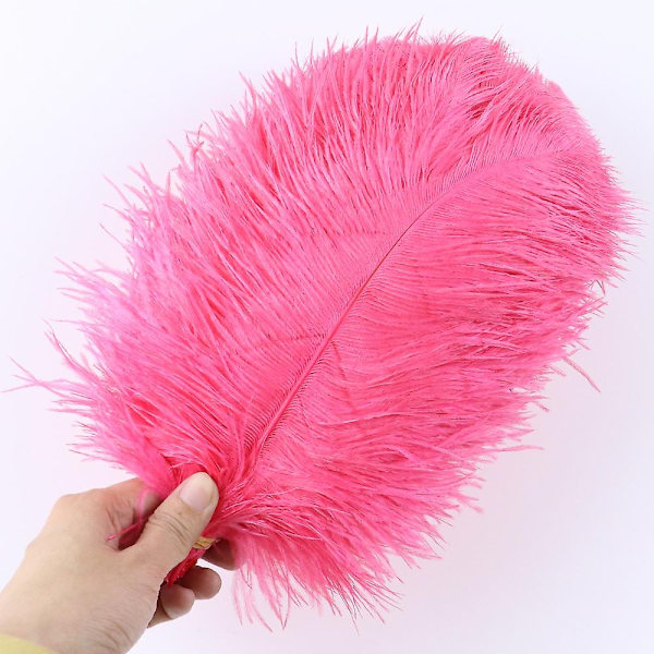 10 stk Naturlige Sorte Strudsefjer til Håndværk Bryllup Hjem Dekoration 15-20cm/25-30cm/30-35cm Fest Strudsefjer Midtpunkt-Perfekt Watermelon red