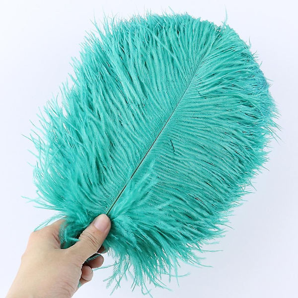 10 stk Naturlige Sorte Strudsefjer til Håndværk Bryllup Hjem Dekoration 15-20cm/25-30cm/30-35cm Fest Strudsefjer Midtpunkt-Perfekt peacock green