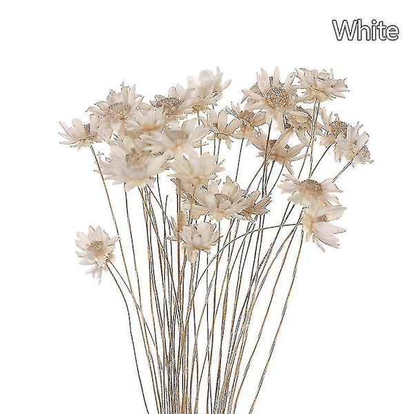 30 stk. Daisy Små Stjerne Tørrede Blomster Buket Bevar Blomst til Bryllup Dekoration-Perfet White