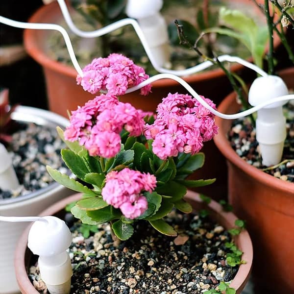 Automatisk dryppvanner blomstervanner - Multipack - Perfekt