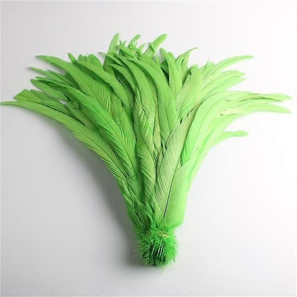 50 stk. Naturlige Kyllingehale Fjer 25-40 cm / 10-16 tommer Tøjdekoration Sceneoptræden Hanehale Fjer Plume-Perfet mint green 35-40cm