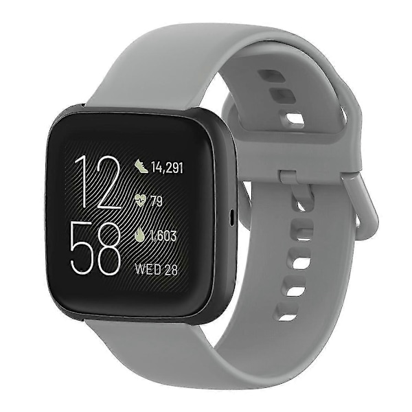 Kellon ranneke Fitbit Versa 2 / Versa / Versa Lite / Blaze-Perfet -kelloille Gray