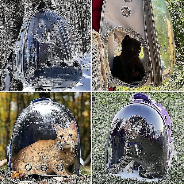 Cat Backpack Outdoor Pet Axelväska Andas Portabel Rese Transparent Bag Green Cat