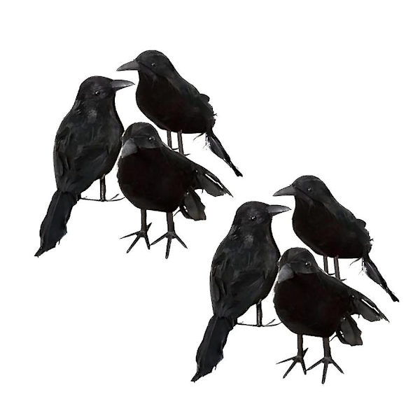 6 x Halloween dekoration krage kunstig ravn krage med fjer sort fugl--