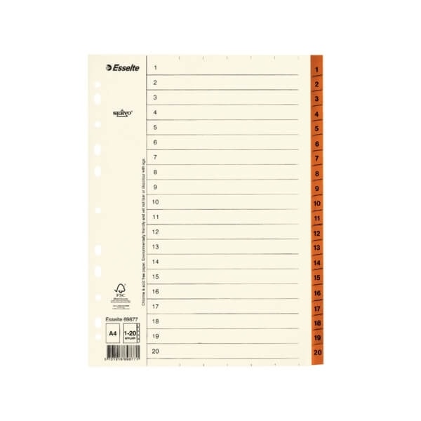 ESSELTE Register Servo A4/1-20 Brun