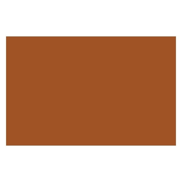 LIQUITEX Ac Spray 400Ml Raw Sienna 0330