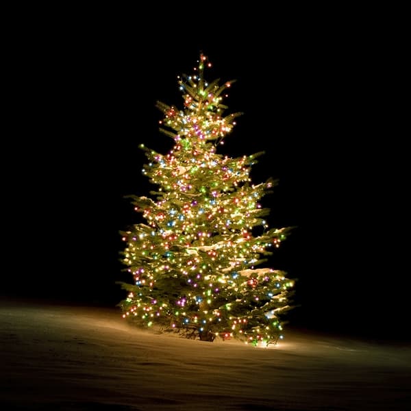 Deltaco SMART HOME WiFi Tree light, 270L, 10 strings, 30m