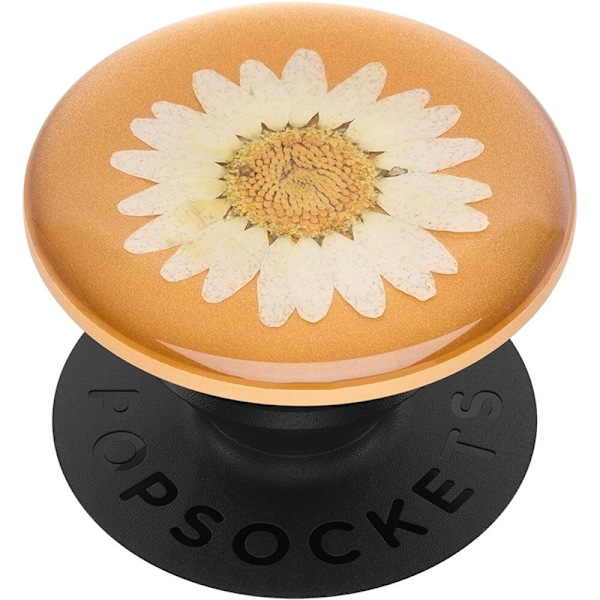 PopSockets Pressed Flower White Daisy Avtagbart Grip med Ställfunktion Premium