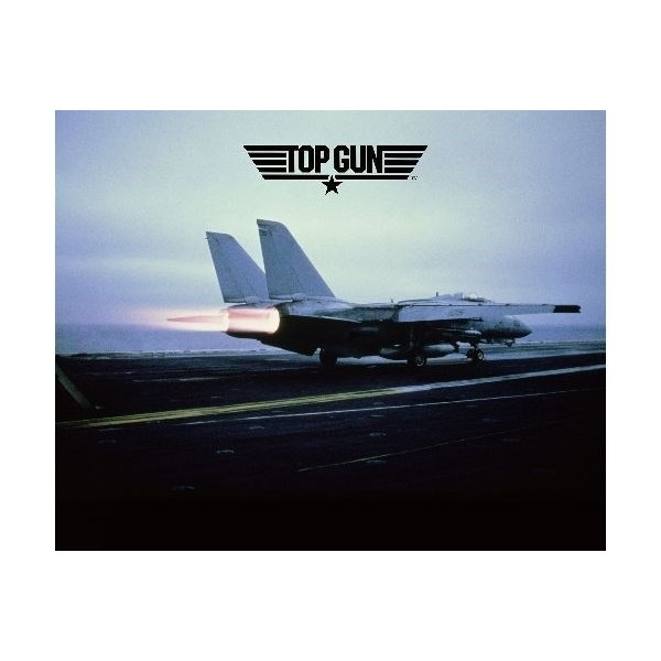 Revell 1:48 F-14 A Tomcat 'Top Gun