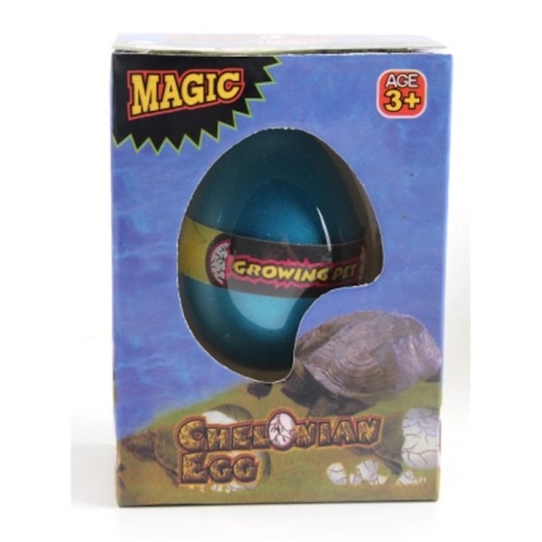 Magiskt ägg, Sköldpadda