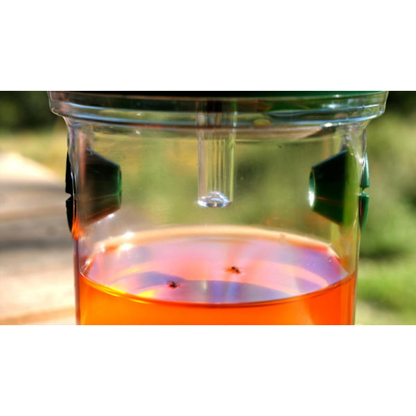 Genius Ideas Solcellsdriven insektsfälla