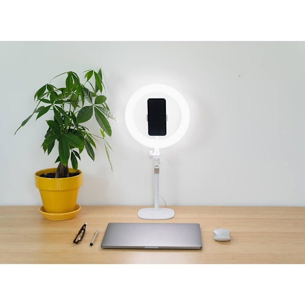 Kodak LED-Belysning Desk Ring Light 10"