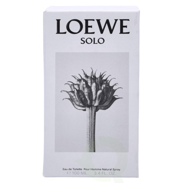 Loewe Solo Pour Homme Edt Spray 100 ml