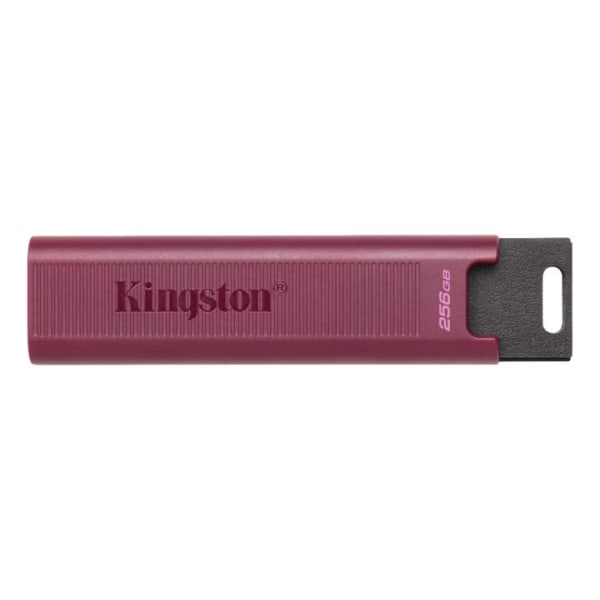 kingston 256GB DataTraveler Max Type-A