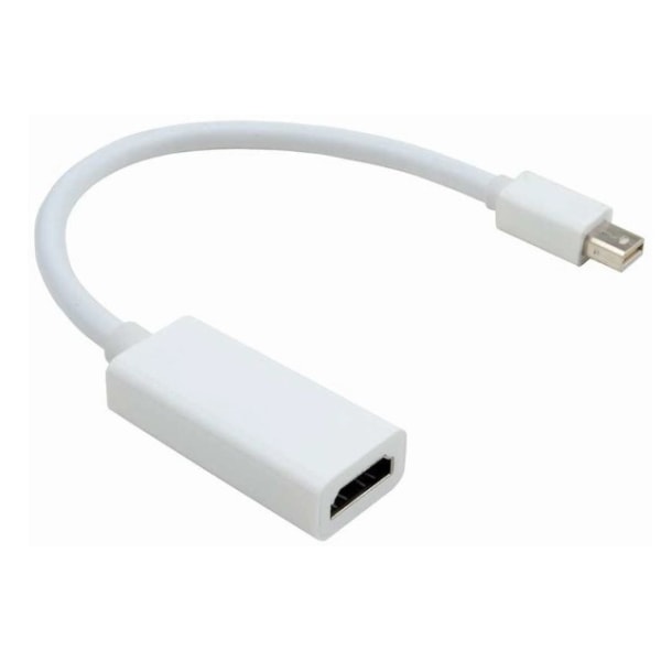 Mini DisplayPort till HDMI adapter, med ljud, 1080p upplösning,