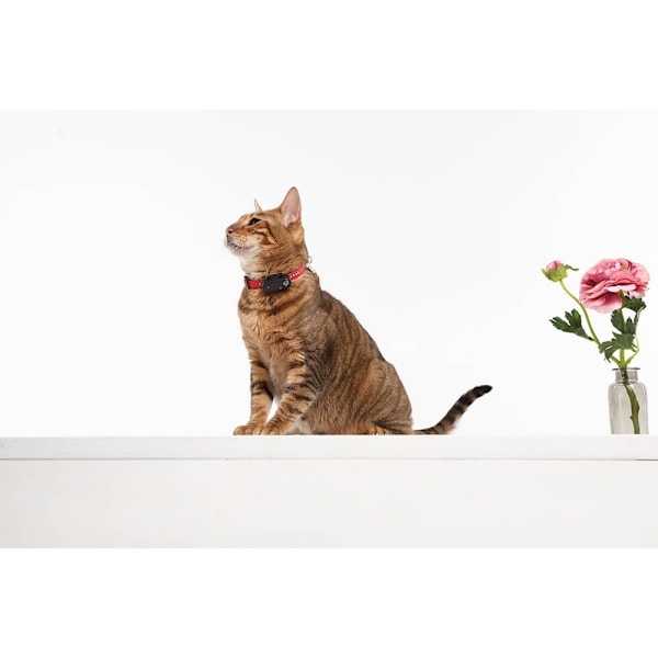 TICKLESS Flåtbeskyttelse Mini Kat