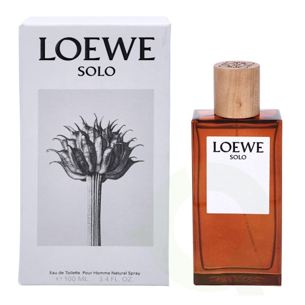 Loewe Solo Pour Homme Edt Spray 100 ml