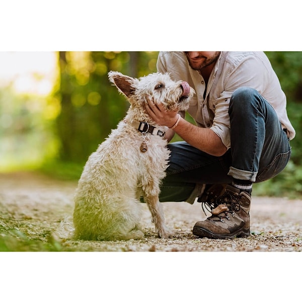 TICKLESS Flåtbeskyttelse ECOPET