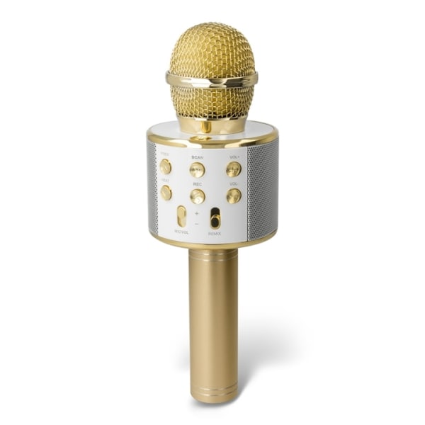 Forever BMS-300 Lite Bluetooth Karaoke Mikrofon med højttaler, G