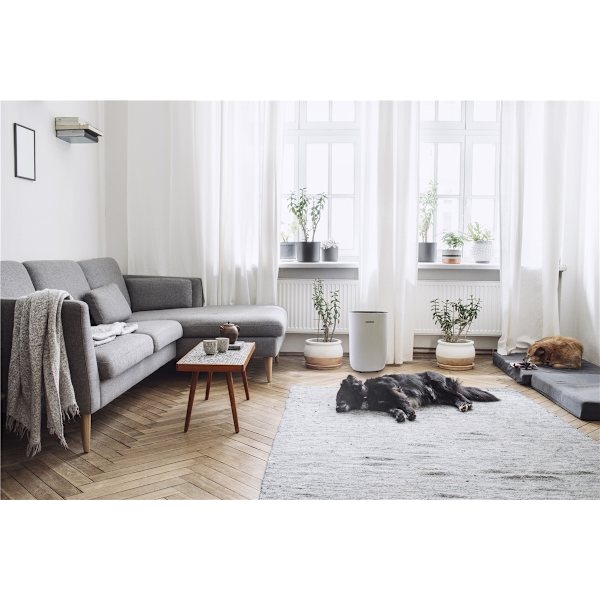 Emil - støjsvag affugter 40dB, 40m2, timer, 2 hastigheder, tørrefunktion